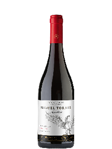 Miguel Torres Andica Pinot Noir Gran Reserva Bio | Rode wijn | Chili | Maule Valley