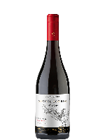 Miguel Torres Andica Pinot Noir Gran Reserva Bio | Rode wijn | Chili | Maule Valley