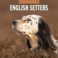 Engelse Setter Kalender 2026