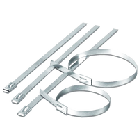 pgb-Europe SMART | kabelband A2 4,6x200 SMCTIEA000462005