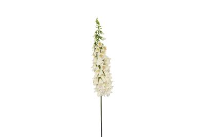 Kunstbloem Digitalis wit - Countryfield