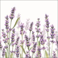 Ambiente Servetten Lavender Shades White 33x33cm - thumbnail