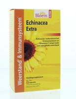 Bloem Echinacea