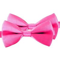 Carnaval verkleed vlinderstrikje - 2x - roze - 12 cm - voor dames/heren - strikken - kleding