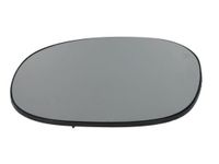 Spiegelglas, buitenspiegel 6102021231851P
