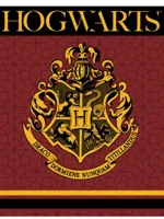 Harry Potter fleeceplaid Hogwarts rood 120x150cm