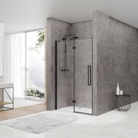 Nisdeur Van Rijn ST05 Draaideur Met Vaste Wand 120x200 cm 8 mm Zwart