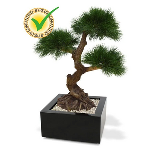 DesignPlants: Pinus Kunstbonsai 3 Bollen 60cm UV Bestendig - Groen
