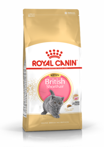 Royal Canin British Shorthair Kitten droogvoer voor kat 400 g Volwassen Gevogelte