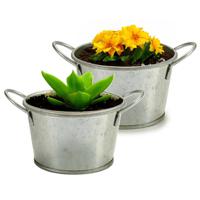 Plantenpot/bloempot teil - 2x - rond - zink - zilver - D12 x H17 cm