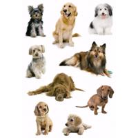 Honden stickers - 3x velletjes - hobbystickers hondjes - plakstickers