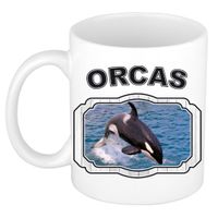 Dieren grote orka beker - orcas/ orka walvissen mok wit 300 ml - thumbnail