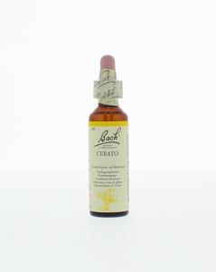 Bach Cerato/loodkruid