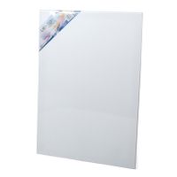 Canvas schildersdoek 60 x 40 cm voor hobby verven/schilderen   - - thumbnail