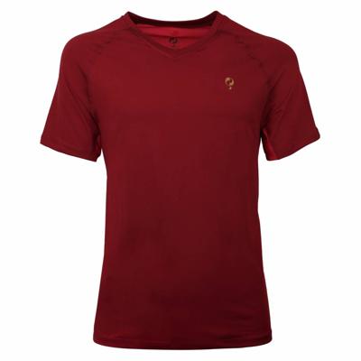 Heren Tee Brush mesh Q Sundried Tomatoes