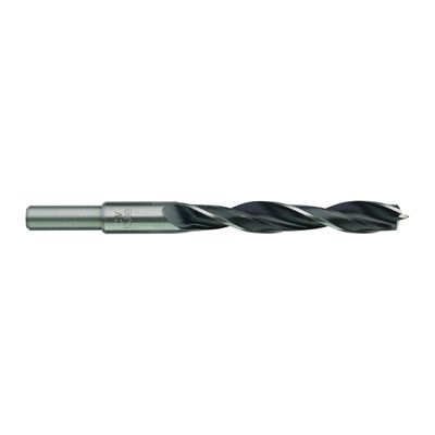 Milwaukee Accessoires Houtboor 13 x 151 mm - 4932363661
