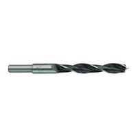 Milwaukee Accessoires Houtboor 13 x 151 mm - 4932363661