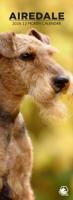 Airedale Terrier Slimline Kalender 2026
