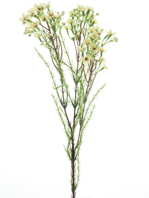 Wax flower spray cream 78 cm kunstbloem - Nova nature