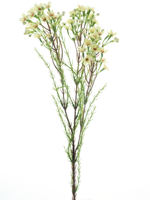 Wax flower spray cream 78 cm kunstbloem - Nova nature