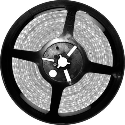 Ledlamp Silver Electronics 221040
