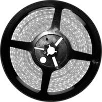 Ledlamp Silver Electronics 221040