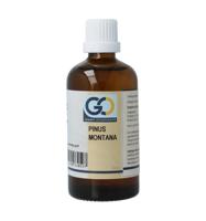 Pinus montana bio