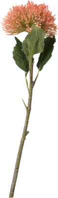 Sedum branch 43cm