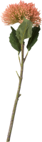 Sedum branch 43cm