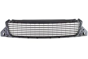 Ventilatiegrille, bumper 6502071305995P