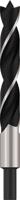 Bosch Accessoires Houtspiraalboren Standard 20 x 140 x 200 mm, d 10 mm 1st - 2608597203