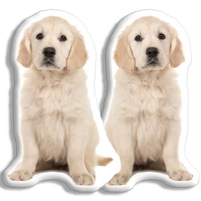 Kleur Achterzijde: - Pillow Buddies