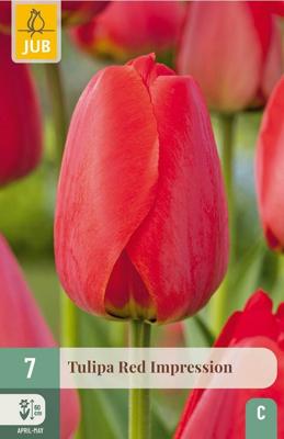 Tulp Red Impression 7 bollen