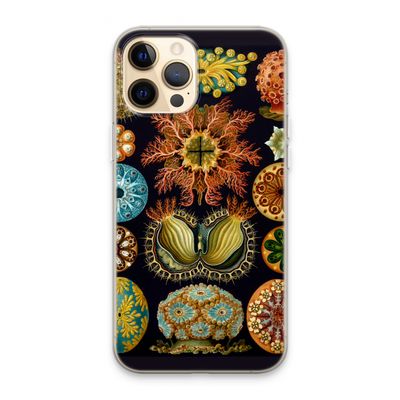 Haeckel Ascidiae: iPhone 13 Pro Max Transparant Hoesje