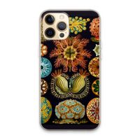 Haeckel Ascidiae: iPhone 13 Pro Max Transparant Hoesje