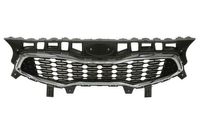 Radiateurgrille 6502073268990P