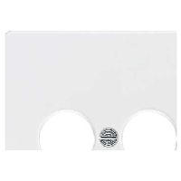 206914  - Central cover plate 206914