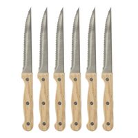 Steakmessen/vleesmessen - 6 stuks - RVS - 22 cm