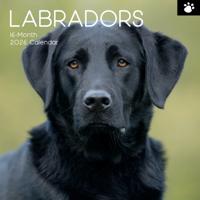 Labrador Retriever Mixed Kalender 2026