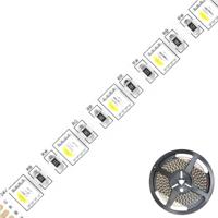 EVN EVN Lichttechnik SB2024150509902 LED-strip Energielabel: F (A - G) Met open kabeleinde 24 V 5 m RGBW 1 stuk(s)
