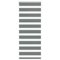 Zebra rolgordijn 55x100 cm stofbreedte 50,9 cm donkergrijs