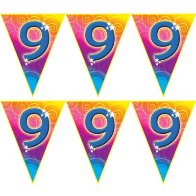 Verjaardag vlaggenlijn - 5x stuks - 9 jaar - 5 meter - leeftijd vlaggetjes - kunststof Verjaardag vlaggenlijn - 5x stuks - 9 jaar - 5 meter - leeftijd vlaggetjes - kunststof