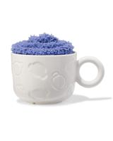 HEMA Nijntje mok met sok maat 36-41