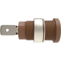 Schützinger DI SEB 7080 Ni / BR Veiligheids-inbouwbus Recht Bruin 1 stuk(s)