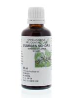 Berberis vulgaris / zuurbes wortel tinctuur 50ml