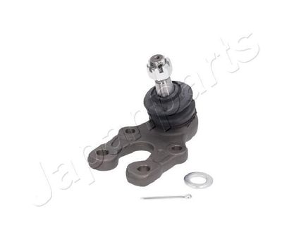 Fuseekogel BJ2067