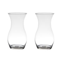 Set van 2x stuks transparante home-basics vaas/vazen van glas 25 x 14 cm