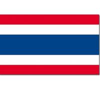 Landen thema vlag Thailand 90 x 150 cm feestversiering