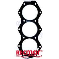 REC345257 - CILINDERKOPPAKKING Bombardier