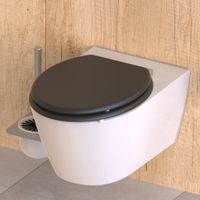 SCHÜTTE toiletbril spirit athrazit met soft-close matantracietkleurig